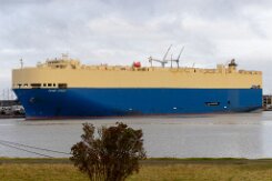 [aktuell kein Foto vorhanden]