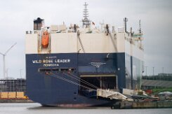 [aktuell kein Foto vorhanden]