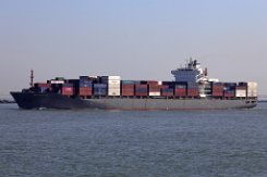 CMA CGM ALIAGA - 247m (n) [IMO:9323039] Containerschiff (Container Ship) Aufnahme: 2022-03-18 (2021-05-29) Ex- Name: NORDAUTUMN Baujahr: 2008 | DWT: 46310t | Breite: 32,20m | Tiefgang:...
