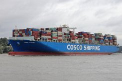 COSCO DENMARK - 366m [IMO:9516478] Containerschiff (Container ship) Aufnahme: 2021-08-18 Baujahr: 2014 | DWT: 157000t | Breite: 52m | Tiefgang: 15,5m | Ladekapazität: 13386 TEU...
