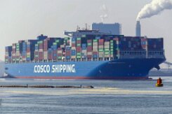 [aktuell kein Foto vorhanden]