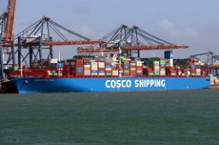 COSCO SHIPPING PISCES - 400m [IMO:9789647] Containerschiff (Container ship) Aufnahme: 2020-03-12 Baujahr: 2019 | DWT: 197500t | Breite: 59m | Tiefgang: 16m | Ladekapazität: 19273 TEU...