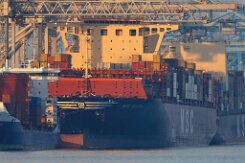 [aktuell kein Foto vorhanden]