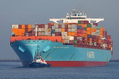 [aktuell kein Foto vorhanden]