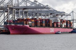 ONE HONG KONG - 336m [IMO:9395161] Containerschiff (Container Ship) Aufnahme: 2023-08-12 Baujahr: 2009 | DWT: 98849t | Breite: 45,8m | Tiefgang: 14,04m | Ladekapazität: 8212 TEU...