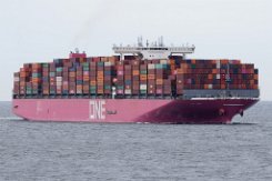 ONE IBIS - 364m (n) [IMO:9741384] Containerschiff (Container ship) Aufnahme: 2023-06-27 Ex- Name: NYK IBIS Baujahr: 2016 | DWT: 144285t | Breite: 51m | Tiefgang: 15,8m |...