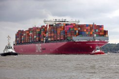ONE AQUILA - 364m [IMO:9806043] Containerschiff (Container ship) Neuaufnahme: 2021-08-18 (2019-05-10) Baujahr: 2018 | DWT: 139500t | Breite: 51m | Tiefgang: 15,8m |...