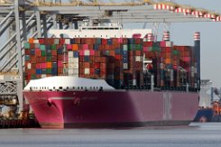 ONE MINATO - 366m [IMO:9805477] Containerschiff (Container ship) Aufnahme: 2019-05-22 Baujahr: 2018 | DWT: 146696t | Breite: 51m | Tiefgang: 15,5m | Ladekapazität: 13870 TEU...