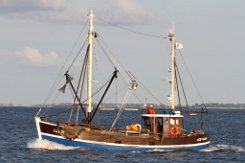 CUX 10 HOFFNUNG - 16m Fischkutter (Trawler) Fotodatum: 2015-08-05 Baujahr: 1983 Maschinenleistung: 161 KW