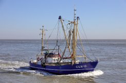CUX 12 ELENA - 19m Fischkutter (Trawler) Fotodatum: 2021-06-14 Baujahr: 1963 | Breite: 5,10m Maschinenleistung: 221 KW
