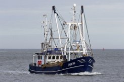 CUX 16 HORIZONT - 20m Fischkutter (Trawler) Fotodatum: 2022-10-24 Baujahr: 1984 | Breite: 5,6m Maschinenleistung: 221 KW