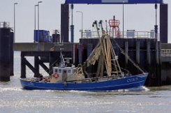 CUX 5 TINA - 19m Fischkutter (Trawler) Fotodatum: 2021-06-16 Baujahr: - | Breite: 5,0m | Tiefgang: max. 2,4m Geschwindigkeit: 9,5 kn