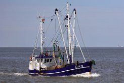 CUX 9 RAMONA - 16m (+) Fischkutter (Trawler) Fotodatum: 2021-06-16 (+) (gesunken am 21.09.2021) Baujahr: 1961 | Breite: 5,00m Maschinenleistung: 145 KW