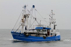 DIT 1 MARTHA BRUHNS - 19m Fischkutter (Trawler) Fotodatum: 2015-07-12 Baujahr: 1996 | Breite: 5,60m Maschinenleistung: 221 KW