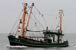 DIT 18 JAN BRUHNS - 19m Fischkutter (Trawler) Fotodatum: 2015-07-12 Baujahr: 1983 | Breite: 5,40m Maschinenleistung: 221 KW