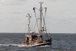 NEU 226 KEEH-TIED - 16m Fischkutter (Trawler) Fotodatum: 2014-08-05 Baujahr: 1968 | Breite: 4,70m Maschinenleistung: 184 KW