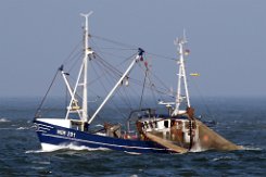 NOR 201 ROSWIETHA - 19m Fischkutter (Trawler) Fotodatum: 2018-09-27 Baujahr: 1979 Maschinenleistung: 213 KW
