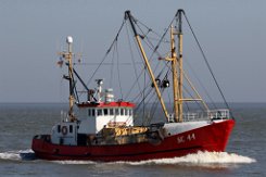 SC 44 KLAUS GROTH - 24m Fischkutter (Trawler) Fotodatum: 2019-04-18 Baujahr: 1959 | Breite: 6,02m Maschinenleistung: 221 KW