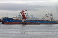 ANANGEL ODYSSEY - 289m (ex) [IMO:9332523] Massengutfrachter (Bulk Carrier) Fotodatum: 2017-09-22 Neuer Name: MARAN ODYSSEY Baujahr: 2006 | DWT: 171660t | Breite: 45m | Tiefgang: 23,90m...