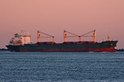 BLUEWING - 186m (ex) [IMO:9230919] Massengutfrachter (Bulk Carrier) Fotodatum: 2016-11-25 Neuer Name: MAK 1 Baujahr: 2002 | DWT: 26747t | Breite: 24,02m | Tiefgang: max. 9,70m...