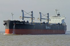 BETULA ARROW - 200m [IMO:9720055] Massengutfrachter (Bulk Carrier) Fotodatum: 2015-10-03 Baujahr: 2014 | DWT: 60000t | Breite: 32m | Tiefgang: 13,03m Maschinenleistung: 8130 KW |...