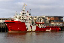 [aktuell kein Foto vorhanden]