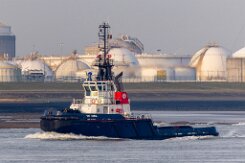 [aktuell kein Foto vorhanden]