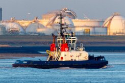 [aktuell kein Foto vorhanden]