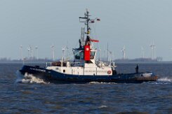 [aktuell kein Foto vorhanden]