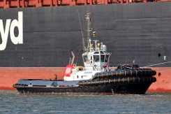 MARS - 33m (ex) [IMO:9695509] Hafenschlepper (Tug) Fotodatum: 2021-08-24 Neuer Name: VB MARS Baujahr: 2016 | Bollard pull: 82t | Breite: 12,8m | Tiefgang: 5,28m...