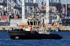 MED CAPELLA - 24m (ex) [IMO:9931422] Hafenschlepper (Tug) Fotodatum: 2022-08-31 Neuer Name: VB BENTAYGA Neuer Name: Baujahr: 2022 | Bollard pull: -t | Breite: 12m | Tiefgang: 5,9m...