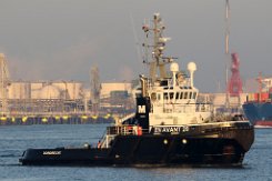 EN AVANT 20 - 32m [IMO:9408645] Schlepper (Tug) Fotodatum: 2016-02-17 Baujahr: 2006 | Bollard pull: 70t | Breite: 12m | Tiefgang: 5,00m Maschinenleistung: 3744 KW |...