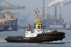 MULTRATUG 29 - 33m (ex) [IMO:9695470] Hafenschlepper (Tug) Fotodatum: 2016-01-18 Neuer Name: TIRRICK Baujahr: 2015 | Bollard pull: 82t | Breite: 12,82m | Tiefgang: 5,35m...