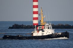 TAUCHER O. WULF 5 - 29m (ex) [IMO:6907169] Hafenschlepper (Tug) Fotodatum: 2016-01-18 Neuer Name: CANAL SERVICES 5 Baujahr: 1968 | Bollard pull: 25t | Breite: 8m | Tiefgang: 4,25m...