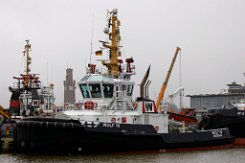 WULF 10 - 32m [IMO:9432983] Hafenschlepper (Tug) Fotodatum: 2024-12-29 Baujahr: 2009 | Bollard pull: 90t | Breite: 12,0m | Tiefgang: 4,90m Maschinenleistung: 4736 KW |...