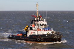 WULF 7 - 30m [IMO:9183075] Hafenschlepper (Tug) Fotodatum: 2019-01-02 Baujahr: 1998 | Bollard pull: 50t | Breite: 10m | Tiefgang: 4,80m Maschinenleistung: 3040 KW |...