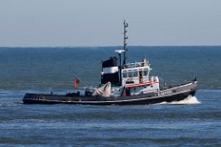 ALBATROS - 28m [keine IMO-Nummer] Schlepper (Inland-Tug) Fotodatum: 2024-10-04 Baujahr: - | Breite: 8m | -m Maschinenleistung: - KW | Geschwindigkeit: - kn Bauwerft: - |...