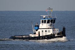 DOLFIJN - 22m [IMO-NR.] Inland- Schlepper (Tug) Fotodatum: 2016-01-18 Breite: 5m