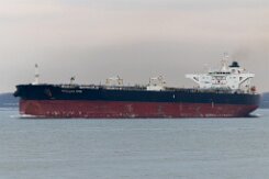 [aktuell kein Foto vorhanden]