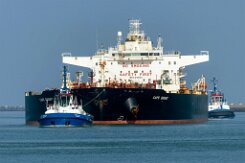 [aktuell kein Foto vorhanden]