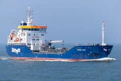 [aktuell kein Foto vorhanden]