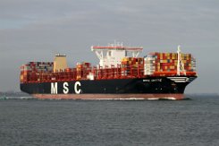 [Schiffe Spezial] MSC DITTE (3) MSC Ditte bei Terneuzen