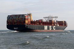 [Schiffe Spezial] MSC DITTE (6) MSC Ditte bei Terneuzen