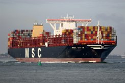 [Schiffe Spezial] MSC DITTE (2) MSC Ditte bei Terneuzen