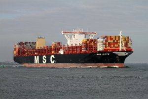 MSC Ditte Das Containerschiff fotografiert in Terneuzen