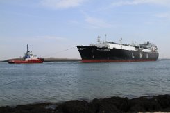 Schleppmanöver: ARCTIC AURORA | SD SHARK Der LNG Tanker ARCTIC AURORA und Schlepper SD SHARK in Rotterdam