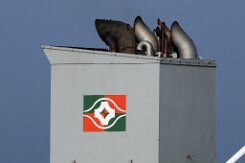 Formosa Plastics Marine Corp. Formosa Plastics Marine Corp. (FPMC) taiwanische Reederei mit Sitz in Taipei City Foto: FPMC 32 [IMO:9831701]