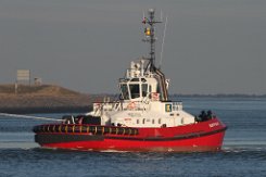 altes Logo: BUFFALO - 24m (aF 2018) [IMO:9816347] - altes Logo Hafenschlepper (Tug) Fotodatum: 2018-02-07 Baujahr: 2017 | Bollard pull: 72t | Breite: 12m