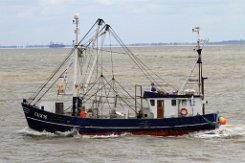 weiteres Foto: CUX 16 HORIZONT - 20m (dA 2015) Fischkutter (Trawler) - doppelte Aufnahme Fotodatum: 2015-07-10 Baujahr: 1984 | Breite: 5,6m Maschinenleistung: 221 KW