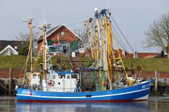 weiteres Foto: GRE 15 ZWEI GEBRÜDER - 16m (dA 2017) Fischkutter (Trawler) - doppelte Aufnahme Fotodatum: 2017-02-12 Baujahr: 1969 | Breite: 5,03m Maschinenleistung: 221 KW